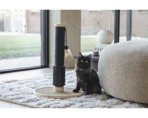 Katze neben einem Kratzbaum im Wohnzimmer.