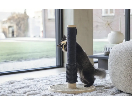 Katze kratzt an einem Kratzbaum im Wohnzimmer.