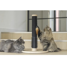 Zwei Katzen und ein Kratzbaum mit Spielzeug