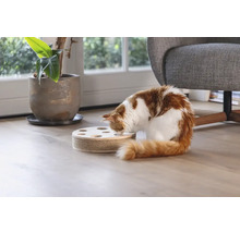 Katze spielt mit interaktivem Katzenspielzeug auf dem Boden