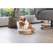 Katze spielt mit interaktivem Intelligenzspielzeug für Katzen auf Holzboden