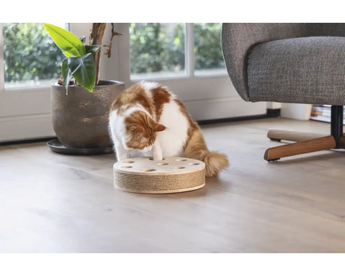 Katze spielt mit interaktivem Intelligenzspielzeug für Katzen auf Holzboden