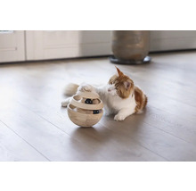 Katze spielt mit interaktivem Katzenspielzeug auf dem Boden.