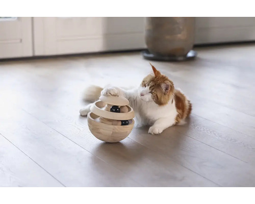 Katze spielt mit interaktivem Katzenspielzeug auf dem Boden.