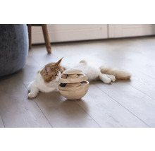 Katze spielt mit einem interaktiven Holzspielzeug auf einem Holzboden.