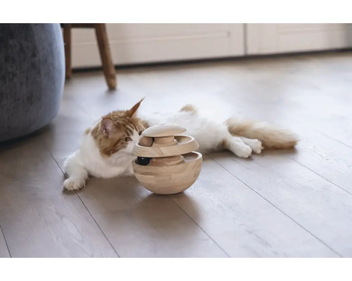 Katze spielt mit einem interaktiven Holzspielzeug auf einem Holzboden.