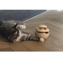 Maine-Coon-Katze liegt neben einem interaktiven Holzspielzeug auf einem Holzboden