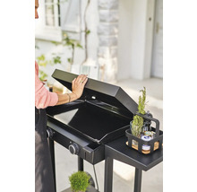 Schwarzer Grill mit Deckel, Seitenablage und Gewürzen im Garten