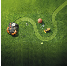 Rasenfläche mit Rasenmähroboter, Basketball, Gartenschere, Spielzeugbagger, Tennisball, Schlüssel und Brille