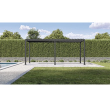 Pergola dans un jardin avec pelouse