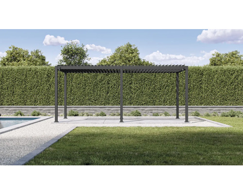 Pergola dans un jardin avec pelouse