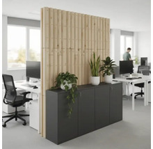 Bureau avec cloison en bois et armoires de bureau