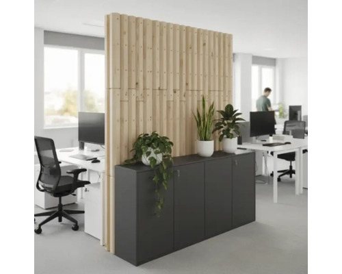 Bureau avec cloison en bois et armoires de bureau