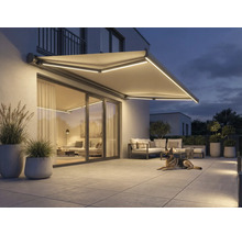 Store éclairé au-dessus d'une terrasse avec mobilier de jardin et chien