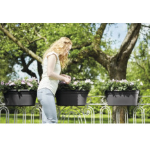 Femme entretenant des fleurs dans des jardinières sur un garde-corps de balcon