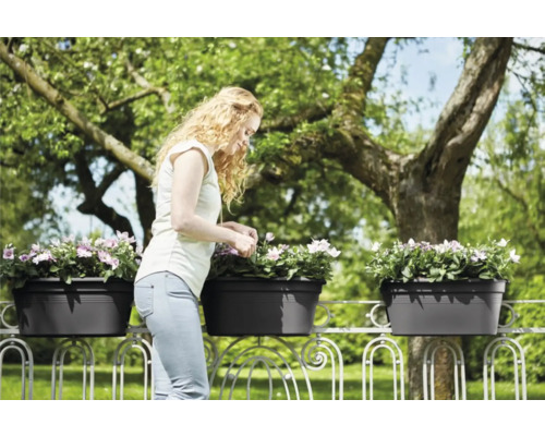 Femme entretenant des fleurs dans des jardinières sur un garde-corps de balcon