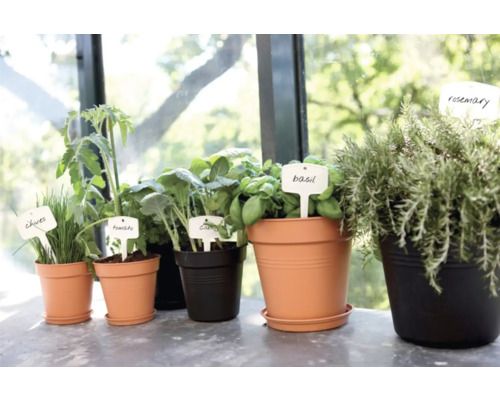 Kräuter und Gemüsepflanzen in Töpfen mit Namensschildern