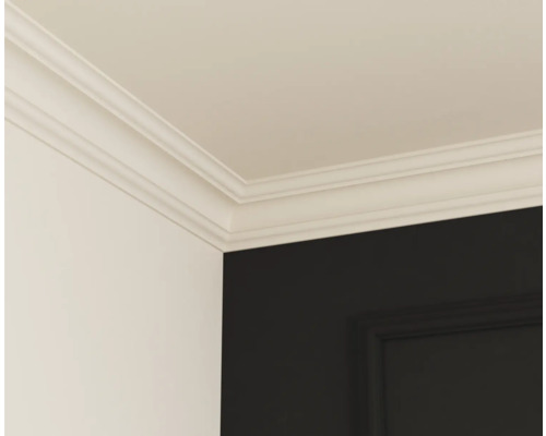 Plafond avec moulures décoratives