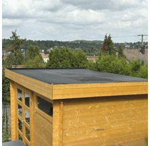 Abri de jardin en bois avec toit plat