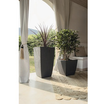 Zwei graue Pflanzkübel mit Pflanzen auf einem Teppich unter einem Baldachin.