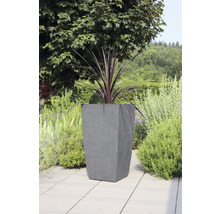 Pflanzgefäss aus Beton mit Pflanze im Garten