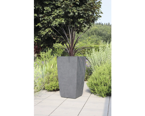 Pflanzgefäss aus Beton mit Pflanze im Garten