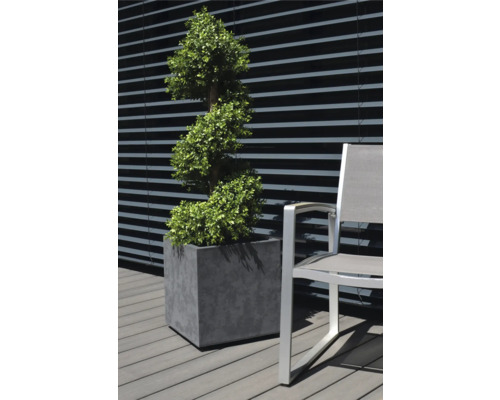 Dekorative Pflanze in einem Topf neben einem Stuhl im Freien.