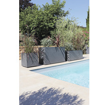 Trois jardinières grises de différentes tailles sont placées au bord de la piscine et plantées de plantes.