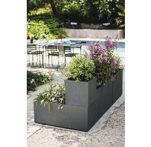 Jardinière avec diverses plantes à l'extérieur.