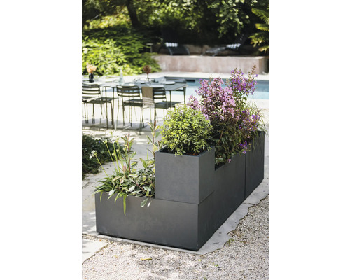 Jardinière avec diverses plantes à l'extérieur.