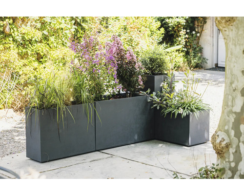 Pots de fleurs en métal avec différentes plantes à l'extérieur