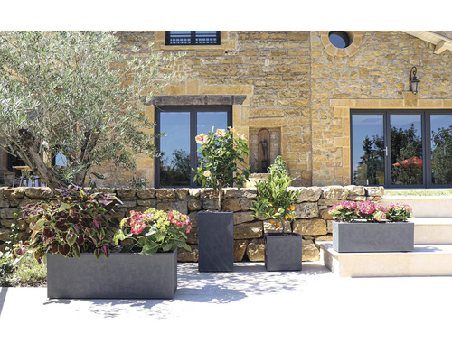 Verschiedene Pflanzgefäße mit Pflanzen vor einem Gebäude