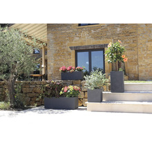 Dekorative Pflanzgefäße aus Steinzeug mit floralen Pflanzen in einem Gartenbereich