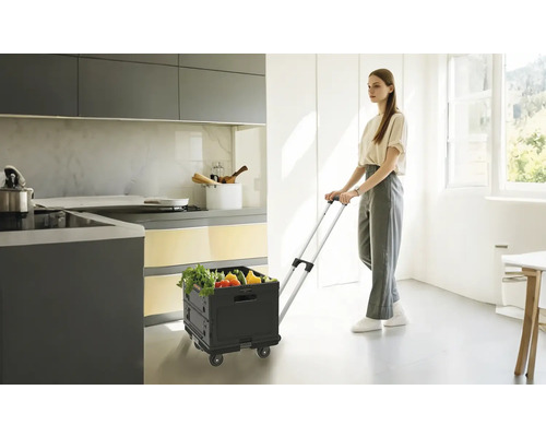 Frau zieht einen schwarzen Einkaufstrolley mit Gemüse in einer hellen Küche.