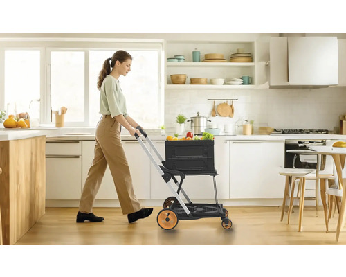 Frau schiebt einen faltbaren Einkaufstrolley mit Obst und Gemüse in einer hellen Küche.
