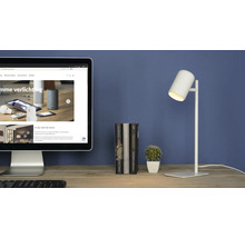 Scène de table avec écran d'ordinateur, livres, cactus et lampe de bureau