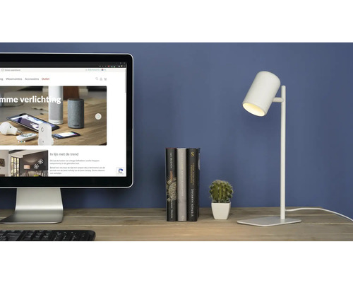 Scène de table avec écran d'ordinateur, livres, cactus et lampe de bureau