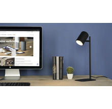 Bureau avec ordinateur, livres, cactus et lampe noire