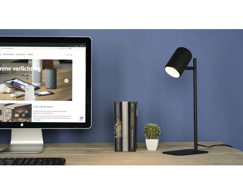 Bureau avec ordinateur, livres, cactus et lampe noire