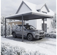 Ein Auto steht unter einem Carport vor einem Haus im Winter.