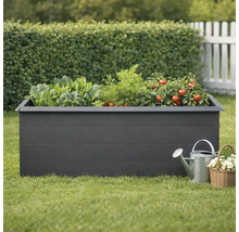 Jardinière surélevée avec légumes, arrosoir et panier de fleurs dans le jardin.