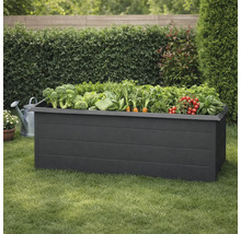 Jardinière surélevée en bois plantée de légumes dans le jardin