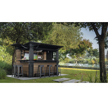 Jardin avec bar extérieur et tabourets de bar sous les arbres