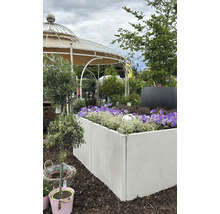 Scène avec un parterre de jardin surélevé avec des fleurs, un pavillon de jardin et diverses plantes.