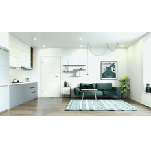 Salon avec canapé, tapis, étagères et kitchenette dans un design clair et spacieux.