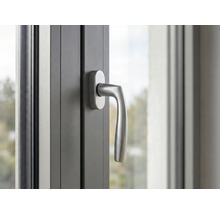 Nahaufnahme eines Fensters mit Fenstergriff