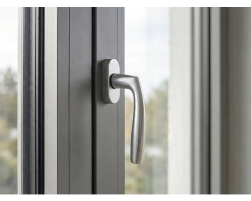 Nahaufnahme eines Fensters mit Fenstergriff