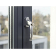 Fenêtre avec poignée de fenêtre et clé