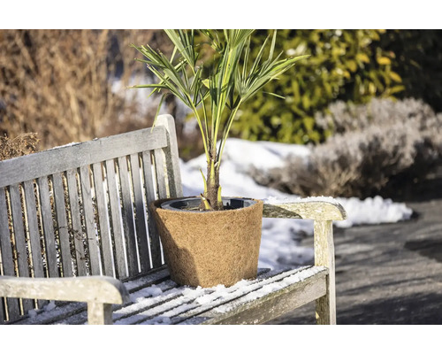 Kokos-Winterschutz für Topfpflanzen auf einer hölzernen Gartenbank im verschneiten Aussenbereich.