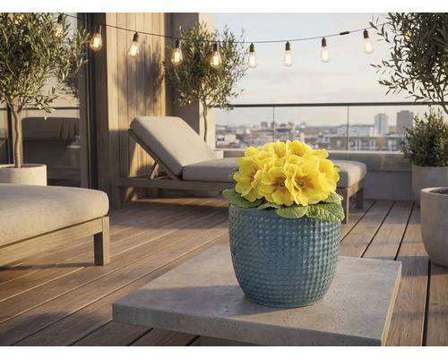 Terrasse mit Gartenmöbeln, Lichterkette und gelben Primeln in einem Topf